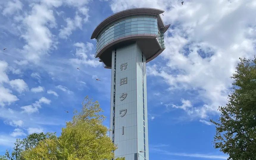 Gyoda Tower, the 50-metre observation tower at Kodai Hasu no Sato