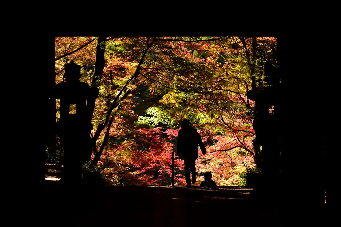 Autumn colour seen through the gate of Kojaku-ji temple at Korankei