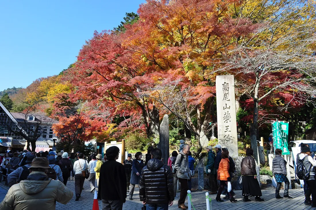 Crowds under the maples at the foot of the Mount Takao cable car in late November
